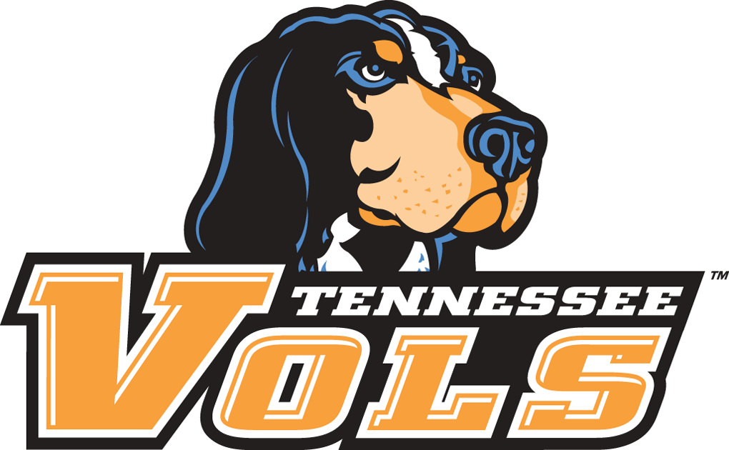 Tennessee Volunteers 2005-Pres Alternate Logo v2 iron on transfers for T-shirts